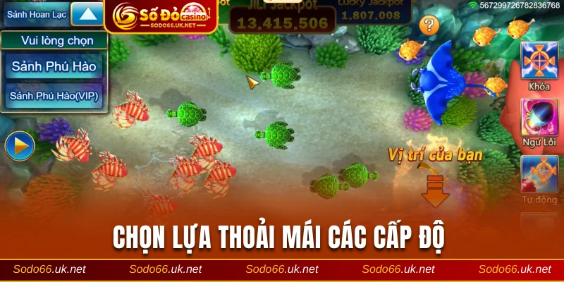 Chọn lựa thoải mái các cấp độ