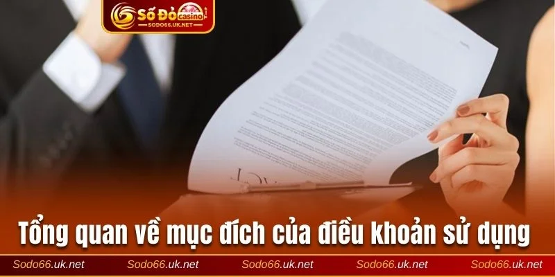 Tổng quan về mục đích của điều khoản sử dụng